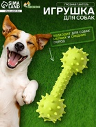 Жевательная игрушка для собак «Грозная гантель», 15×5 см, салатовая - Фото 1