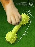 Жевательная игрушка для собак «Грозная гантель», 15×5 см, салатовая - Фото 2