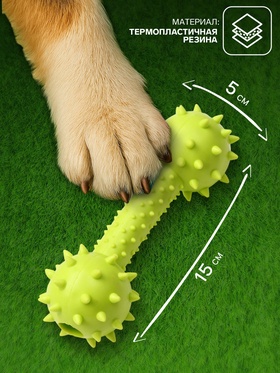 Игрушка жевательная «Грозная гантель», 15×5 см, салатовая