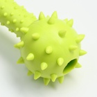 Жевательная игрушка для собак «Грозная гантель», 15×5 см, салатовая - Фото 5