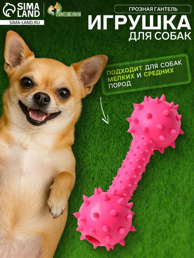 Жевательная игрушка для собак «Грозная гантель», 15×5 см, розовая