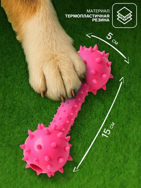 Игрушка жевательная «Грозная гантель», 15×5 см, розовая