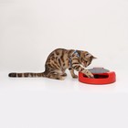 Игровой комплекс «Пижон» с подвижной мышкой, красный - Фото 2