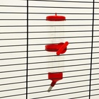 Поилка для грызунов «Пижон», 250 мл, красная - Фото 6