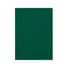 Папка-планшет с зажимом А4, 2 мм, Calligrata прочная, картон/бумвинил, зеленая (клипборд с крышкой) - фото 6456666
