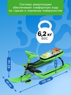 Снегокат «Тимка спорт 2 Ми-ми-мишки», ТС2/ММ2 - Фото 4