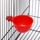 Миска для грызунов и птиц, 30 мл, красная - Фото 1