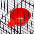 Миска для грызунов и птиц, 30 мл, красная - Фото 2