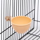 Миска для грызунов и птиц, 30 мл, бежевая - Фото 1