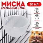 Миска для грызунов и птиц, 30 мл, прозрачная - Фото 1
