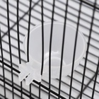 Миска для грызунов и птиц, 30 мл, прозрачная - Фото 3