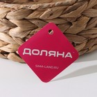 Корзина для хранения плетёная ручной работы Доляна «Крестьянка», плетёная, 25×25×7 см, цвет бежевый - Фото 2