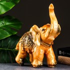 Копилка "Слон" золотой, 30х25см - фото 1429223