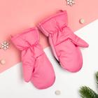 Рукавицы (варежки) зимние KAFTAN  "Собачка"  р-р 13 (3-4 года), розовый - фото 28740997