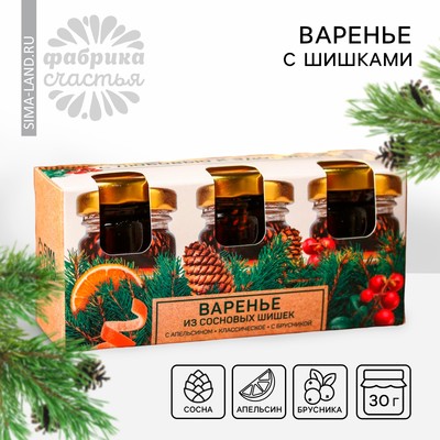 Варенье с сосновыми шишками «Новый год: С любовью»: апельсин, классический, брусника, 90 г (3 шт.×30 г).
