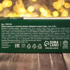 Варенье с сосновыми шишками «Здорового нового года», 30 г × 3 шт. - Фото 6