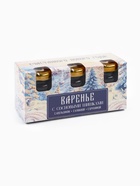 Варенье с сосновыми шишками «Счастливого нового года»: апельсин, клюква, брусника, 90 г (3 шт.×30 г). - Фото 7