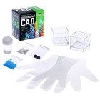 Набор для опытов «Коллоидный сад» - Фото 2