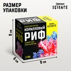 Набор для опытов «Коралловый риф» - Фото 3