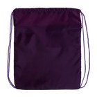 Мешок для обуви «Котик» (с карманом) 42×34 см - Фото 2