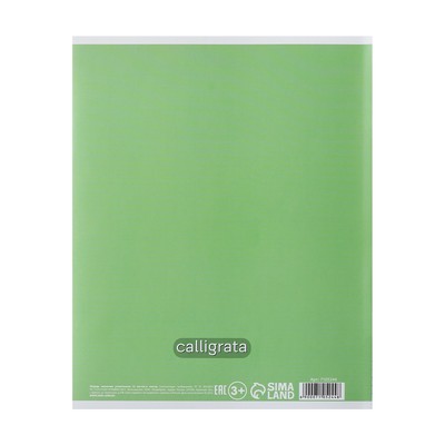 Тетрадь 12 листов в клетку Calligrata «Пятёрка», обложка мелованный картон, зеленая