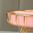 Менажница керамическая 3 ячейки на металлической подставке «Богема», 22×14 см, цвет розовый - фото 51847762