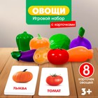 Развивающий набор «Овощи с карточками» по методике Г.Домана - фото 9358655
