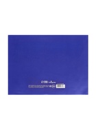 Альбом для рисования Calligrata А4, 8 листов, на скрепке, МИКС - Фото 11