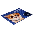 Альбом для рисования Calligrata А4, 8 листов, на скрепке, МИКС - Фото 3