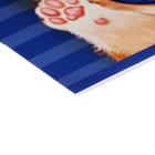 Альбом для рисования Calligrata А4, 8 листов, на скрепке, МИКС - Фото 4