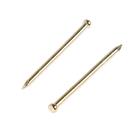 Гвозди ТУНДРА, финишные, ГОСТ 7811-7035, латунированные, 1,4x25 мм, 50 шт - Фото 1