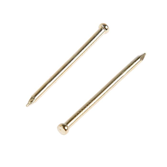Гвозди ТУНДРА, финишные, ГОСТ 7811-7035, латунированные, 1,4x25 мм, 50 шт - Фото 1