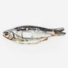 Открывашка для пива Дарим Красиво «Вобла», 16.5×5×0.5 см, дерево - Фото 1