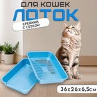 Туалет перламутровый средний с сеткой 36×26×6.5 см голубой - Фото 1