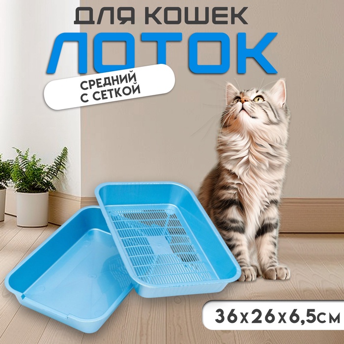 Туалет перламутровый средний с сеткой 36×26×6.5 см голубой - Фото 1