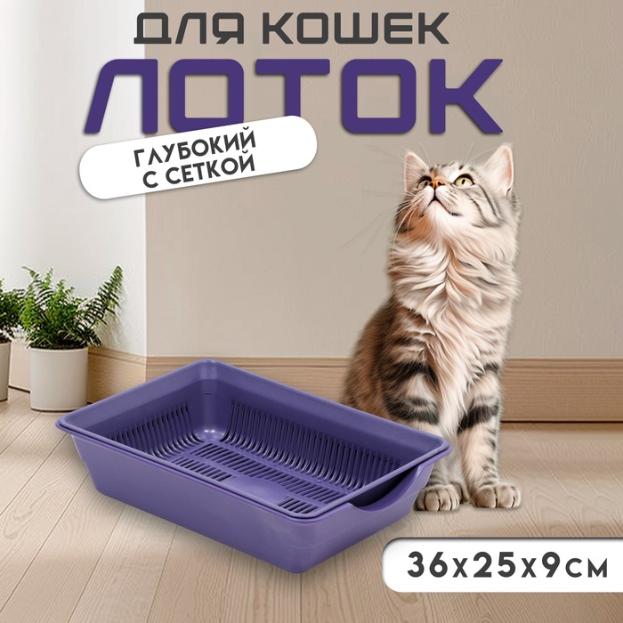 Туалет глубокий с сеткой 36×25×9 см, фиолетовый - Фото 1