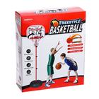Набор для игры в баскетбол «Фристайл», высота от 80 до 200 см - фото 6458743