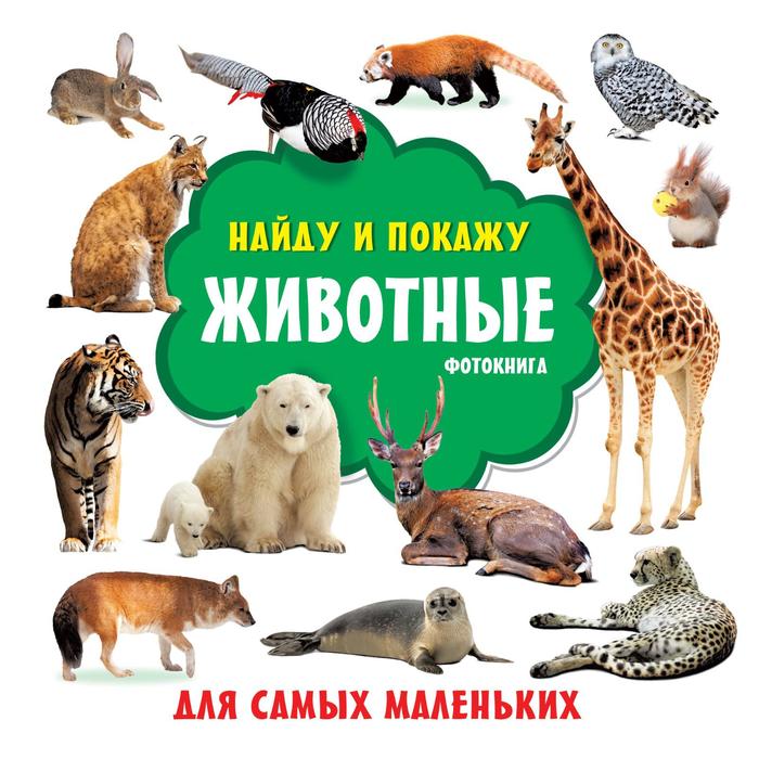 

Животные. Фотокнига. Земченок С. О.