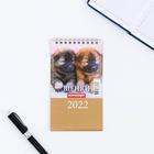 Календарь настольный, домик "Щенки" 2022 год, 10х14 см - Фото 3