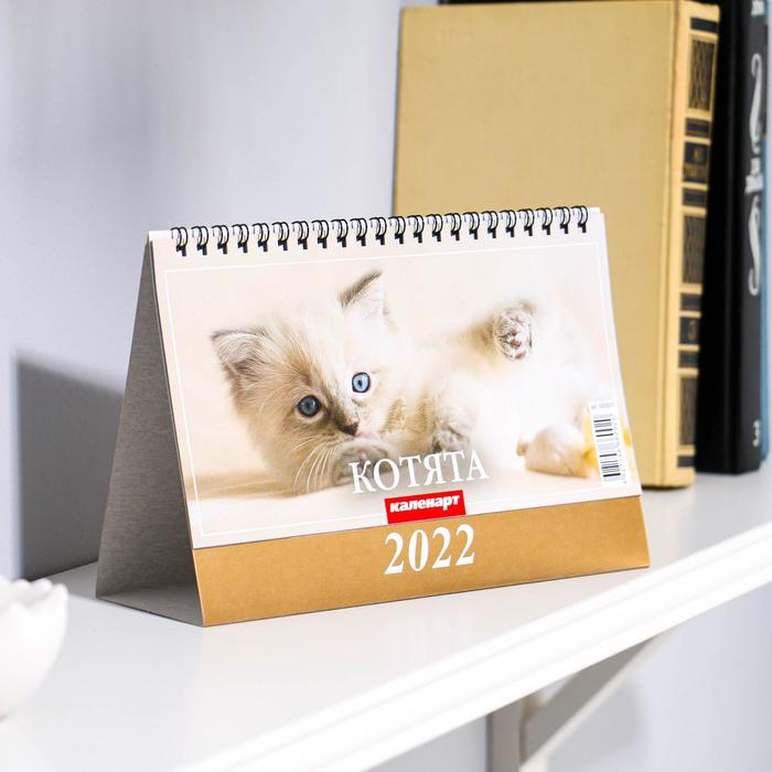 Календарь домик "Котята" 2022год, 20х14 см - Фото 1