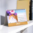 Календарь домик "Котята" 2022год, 20х14 см - Фото 2