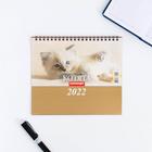 Календарь домик "Котята" 2022год, 20х14 см - Фото 3