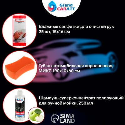 Набор для ухода за авто, 3 предмета: шампунь ручной 250 мл, губка, салфетки для рук