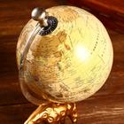 Глобус сувенирный "Жирафик" 12,7х12,7х25,4 см - фото 805796155