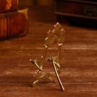 Подставка для книг "Горан" 6х3х15 см - фото 24335339