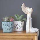 Кашпо SANDY ROUND, 2 предмета: внутренняя и наружная ёмкости, 5 л, цвет белый  (артикул 7356263)  большой выбор товаров оптом и в розницу по низким ценам с доставкой