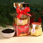 Подарочный набор «Новогодний подарок»: чай с апельсином и корицей 50 г., крем-мёд с кедровым орехом, 120 г. - Фото 1