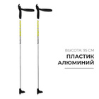 Палки лыжные алюминиевые Snowline, длина 95 см, цвет МИКС - Фото 1