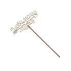 Топпер для торта «Для любимых», МИКС, ассорти (комплект 5 шт) - фото 23306858