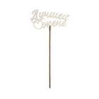 Топпер для торта «Для любимых», МИКС, ассорти (комплект 5 шт) - фото 23306855